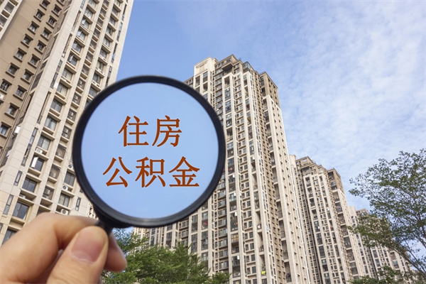 磐石辞职多久公积金可以全部取出来吗（辞职之后公积金多长时间可以取）